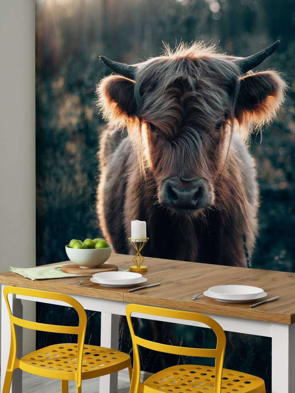 Młody szkocki wyżyn 