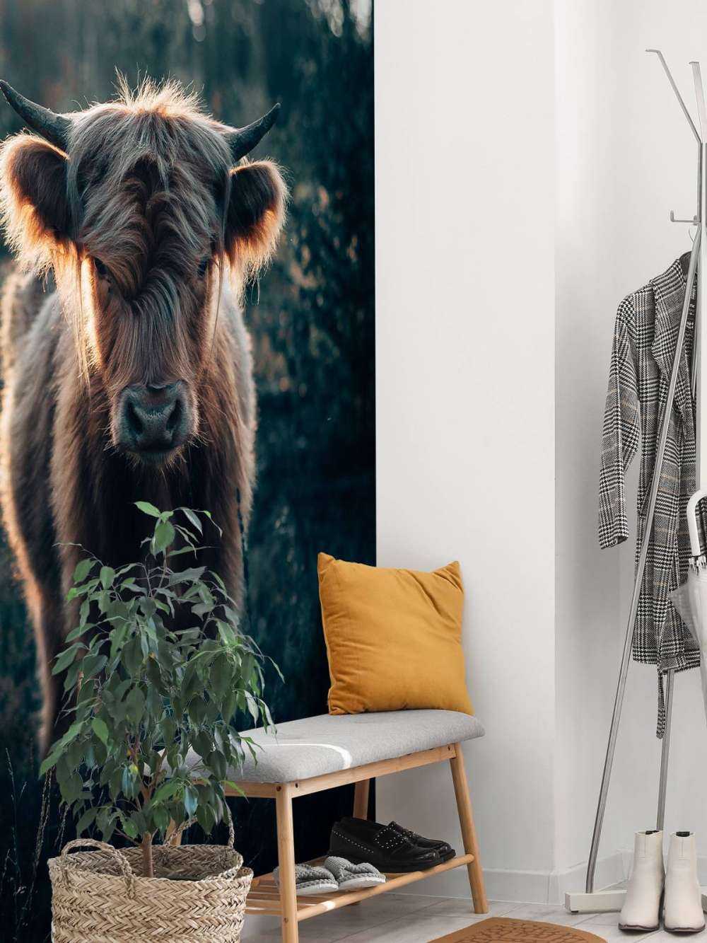 Młody szkocki wyżyn 