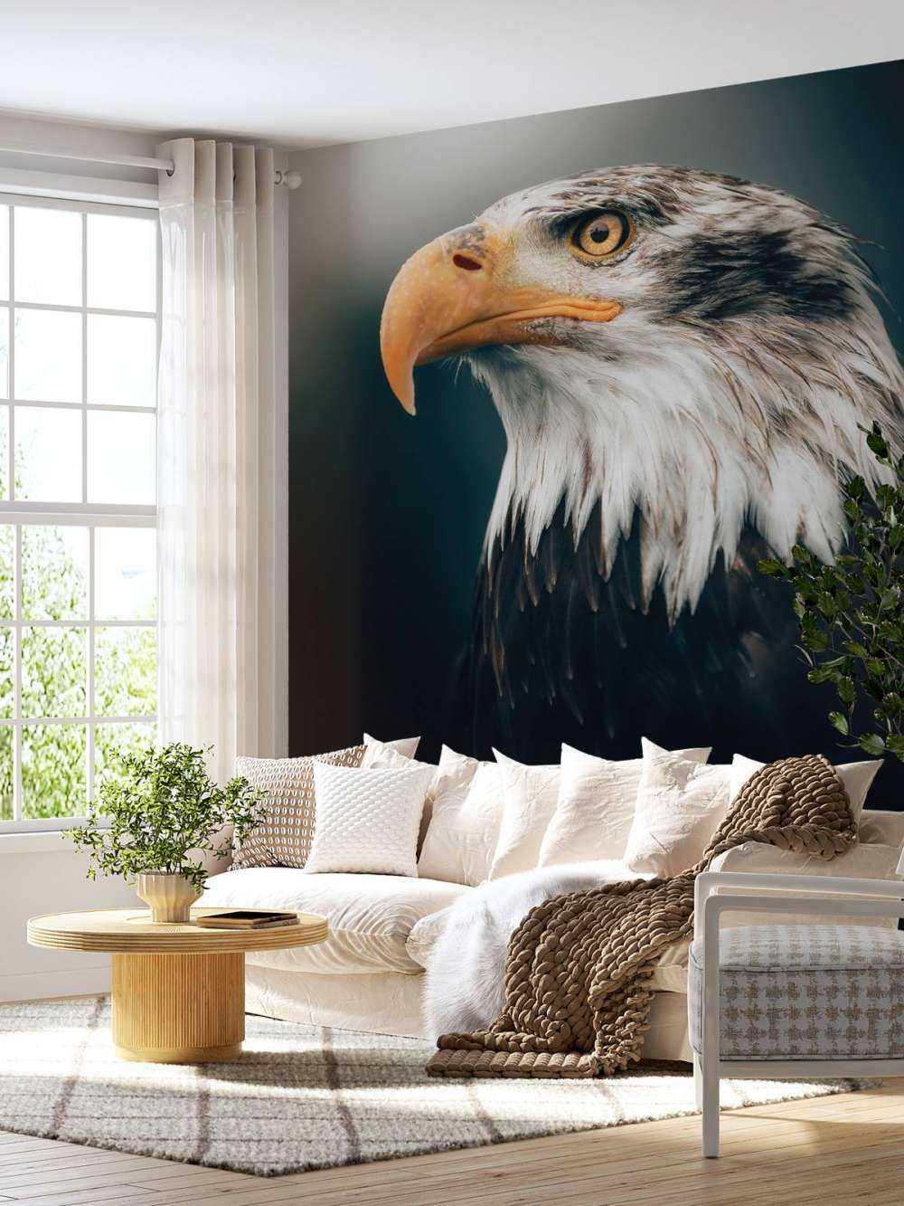 Orzeł morski w zbliżeniu