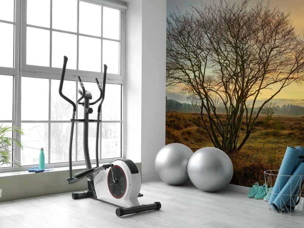 Wschód słońca na wrzosowisku