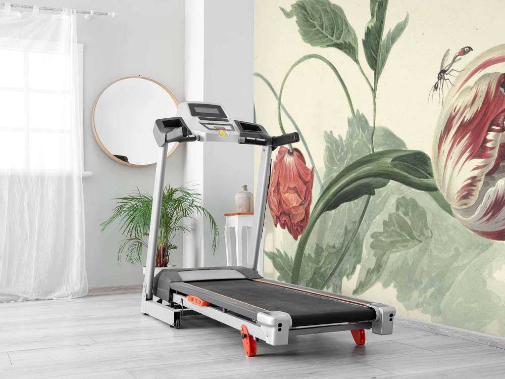 Tulipan i mak, Willem van Leen