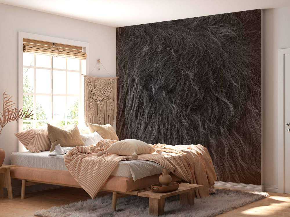 Sierść szkockiego wyżynna w kolorach czarno-białym