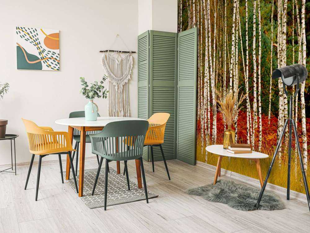 Brzozy na skraju lasu