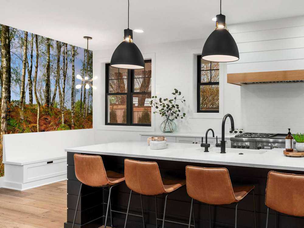 Brzozy z kolorowymi paprociami