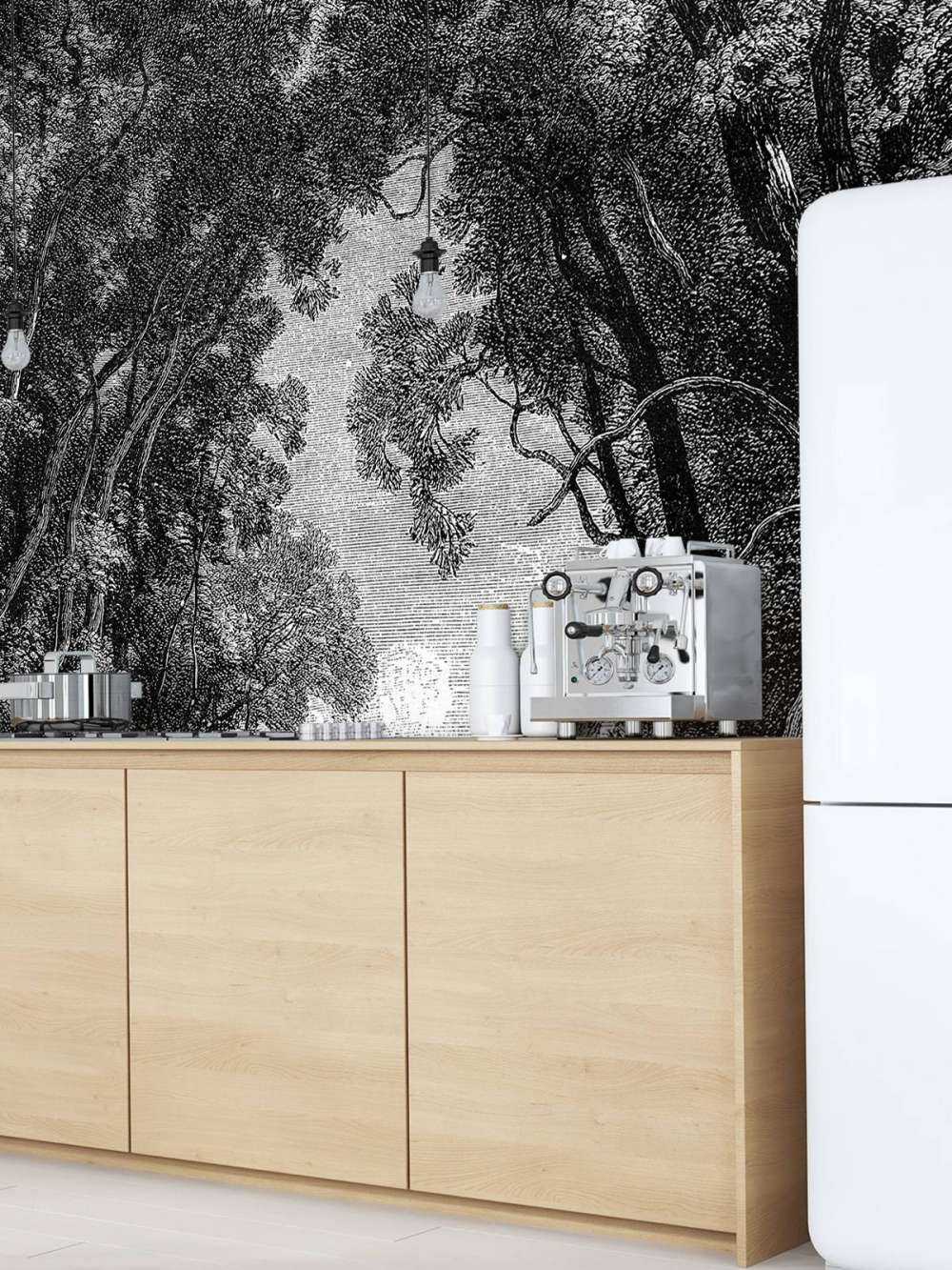 Stara rzeka w dżungli