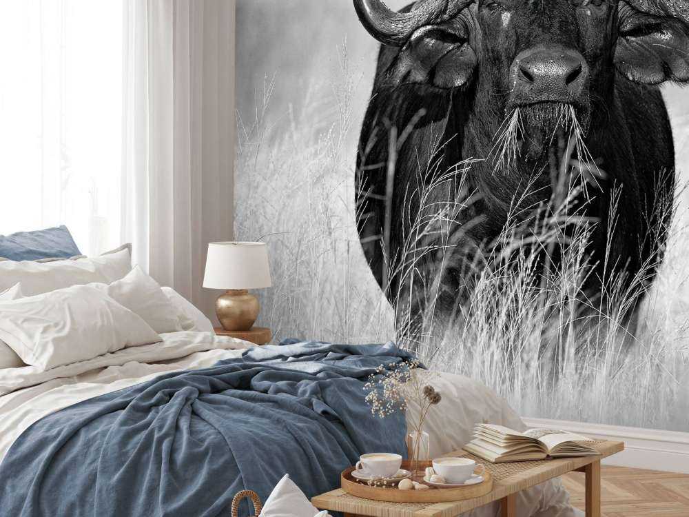 Bawół w czerni i bieli