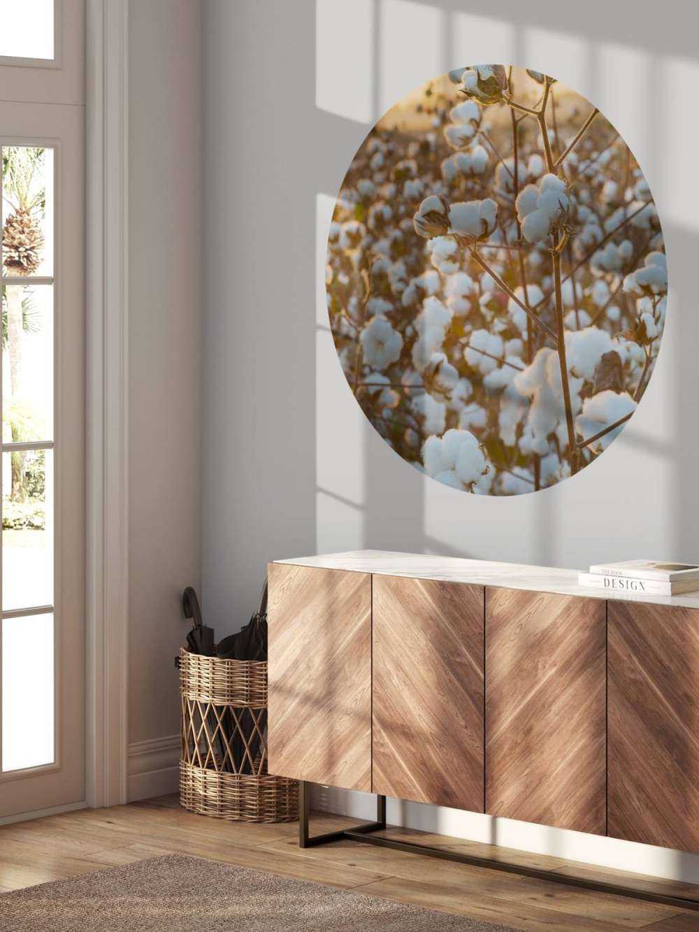 Bawełna Indyjska nad złotożółtym niebem