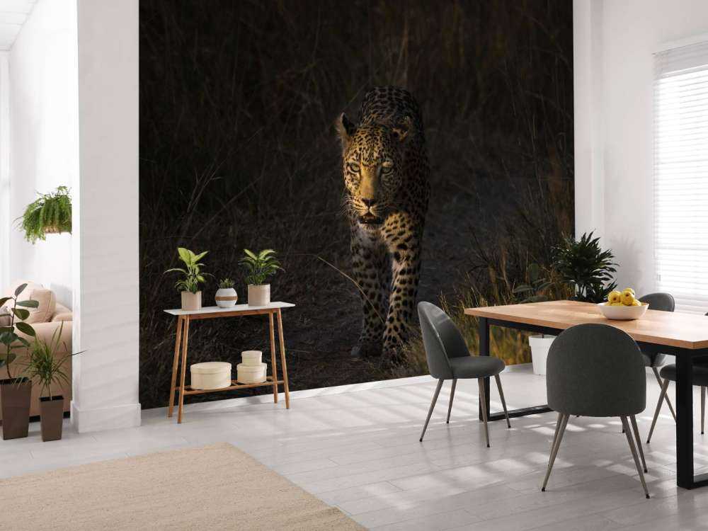 Lampart na tle zachodzącego słońca