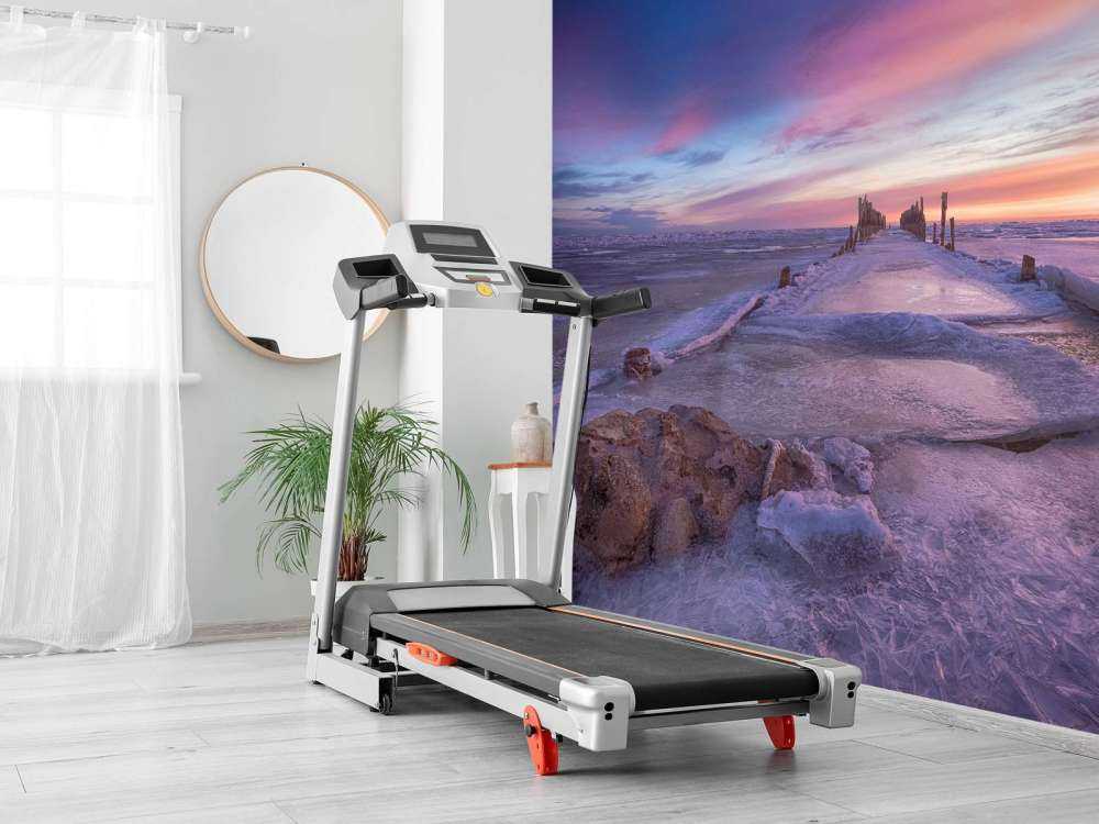 Głowice kijów na zamarzniętym Morzu Bałtyckim