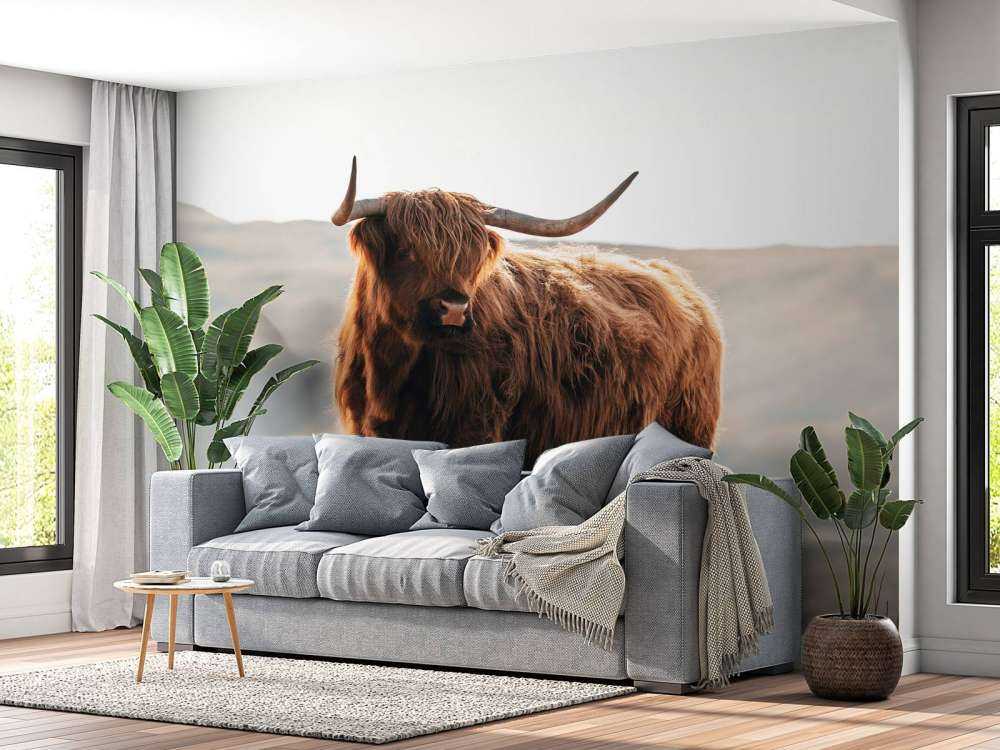 Szkocki wyżyn na wzgórzu