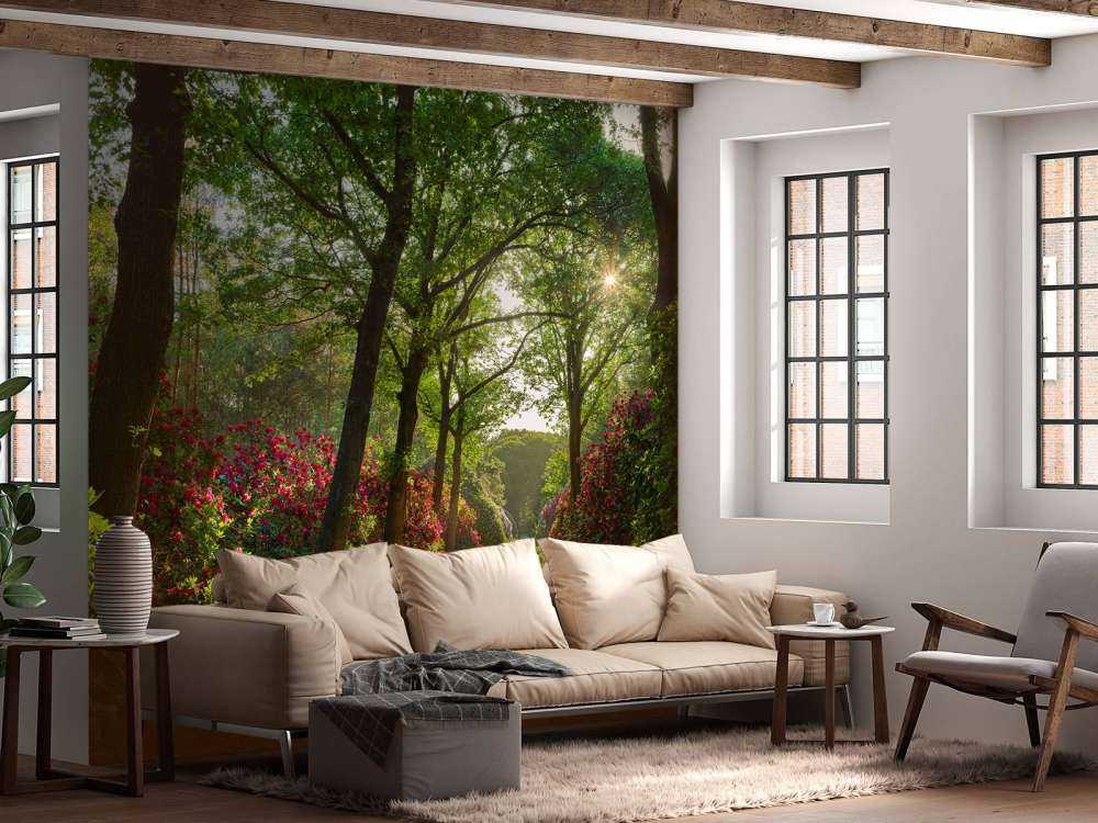 Wschód słońca na ścieżce z rododendronami