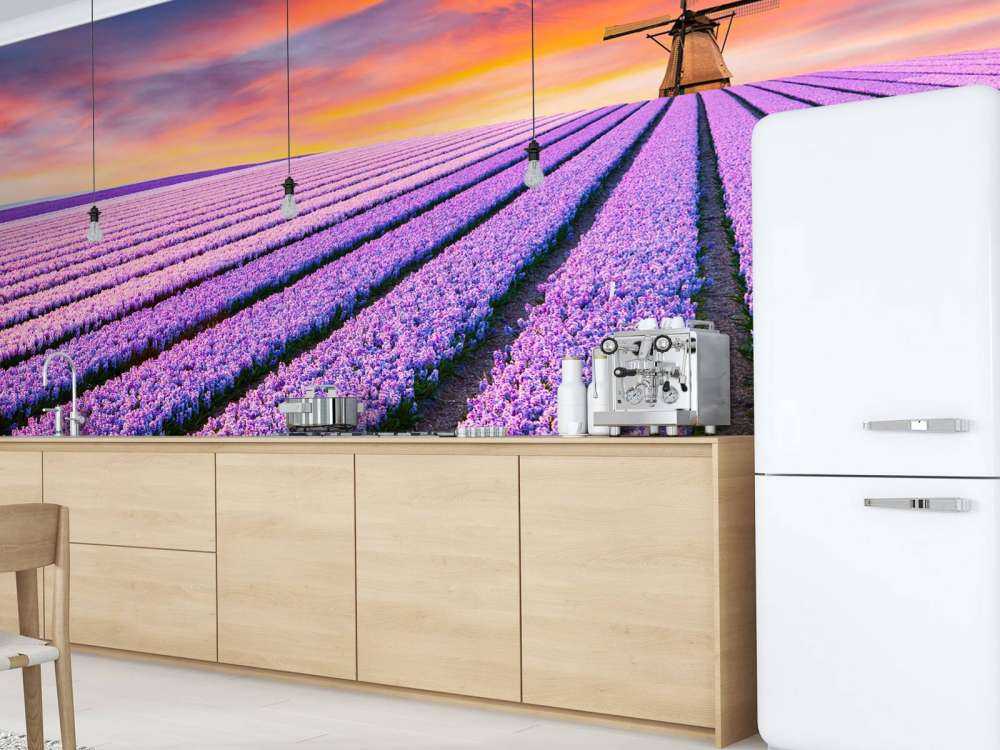 Szafirek Niebieski Muscari