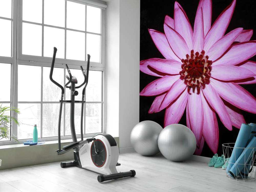 Kwiat lotosu z góry