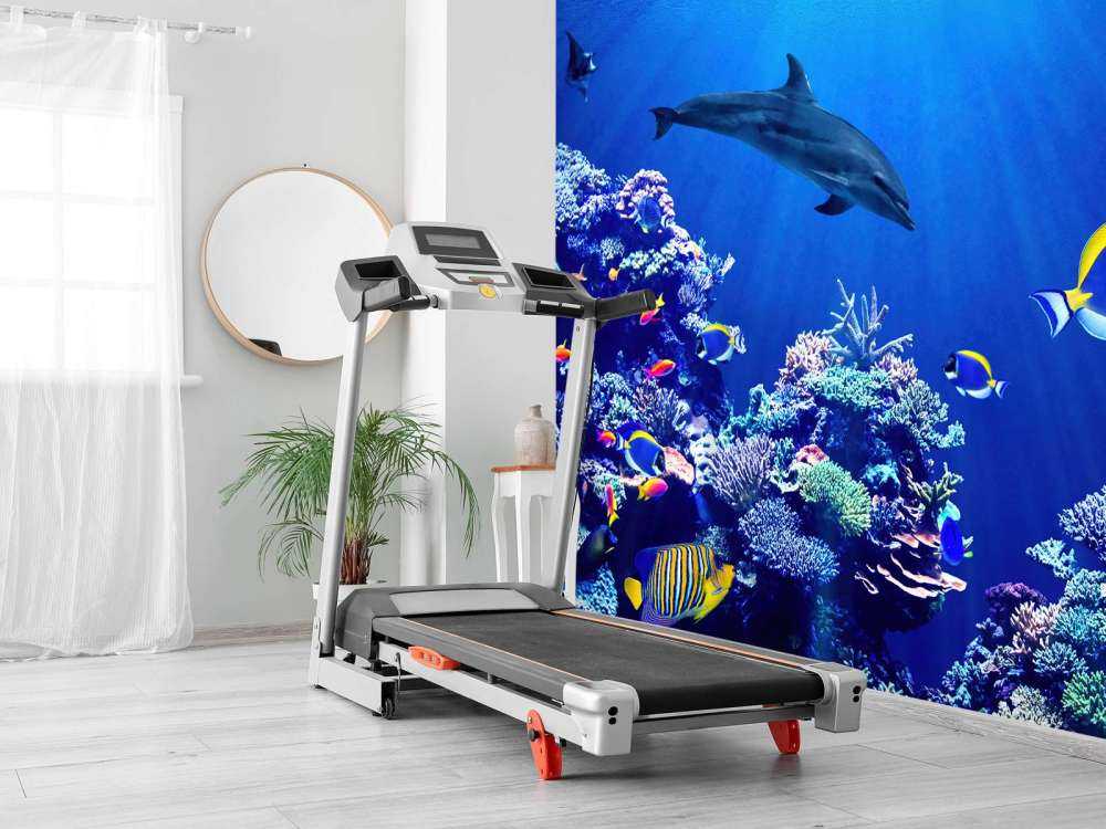 Podwodny niebieski świat 