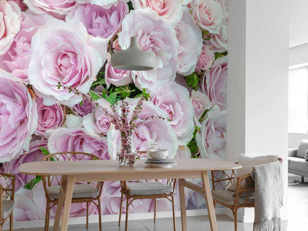 Kolorowe róże białe i różowe