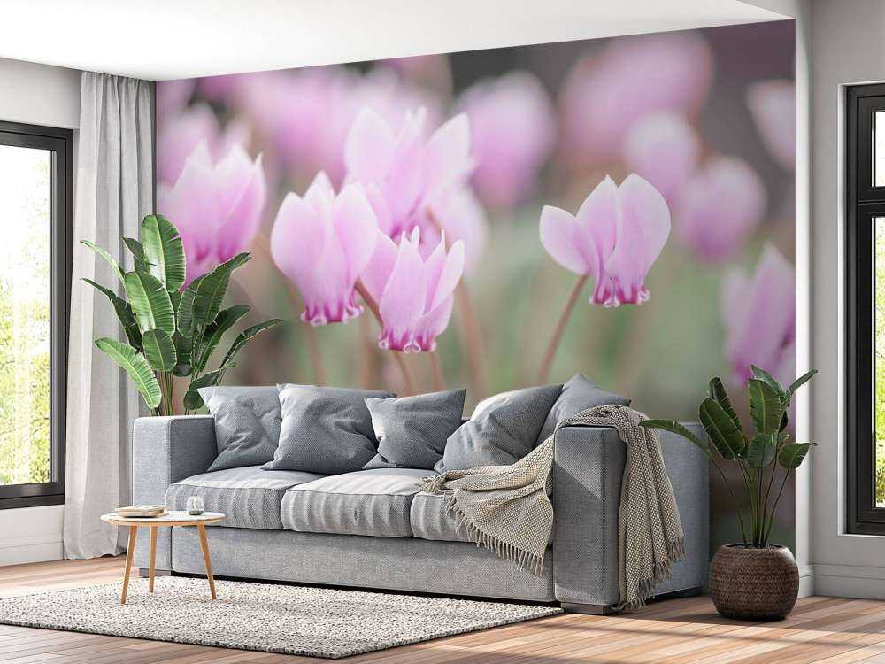 Ładne kwiaty bluszczu