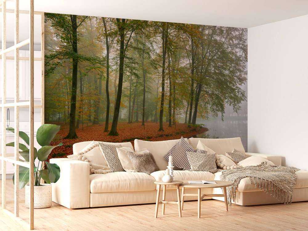 Odbicie drzew w stawie