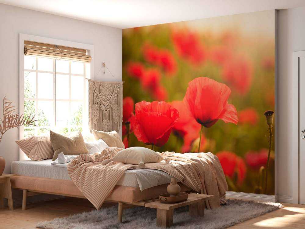 Maki o wschodzie słońca