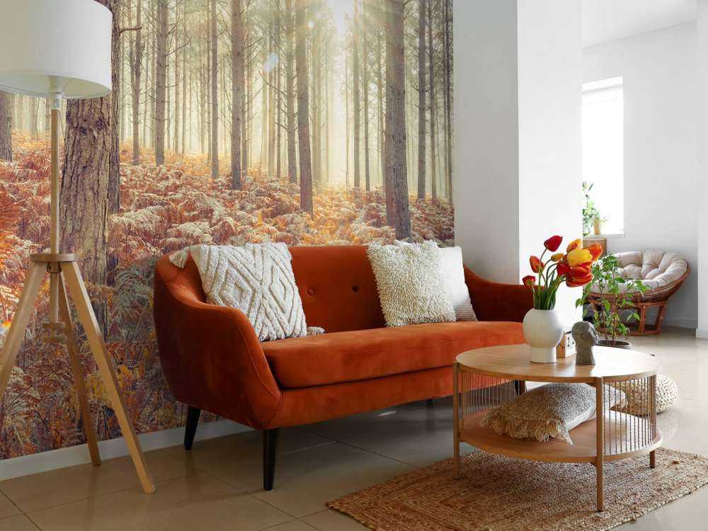 Promienie słońca przez zimne drzewa