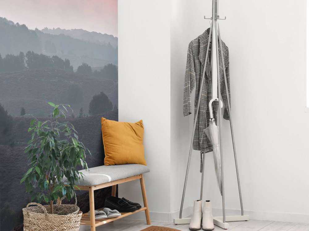 Mglisty wschód słońca na wrzosowisku