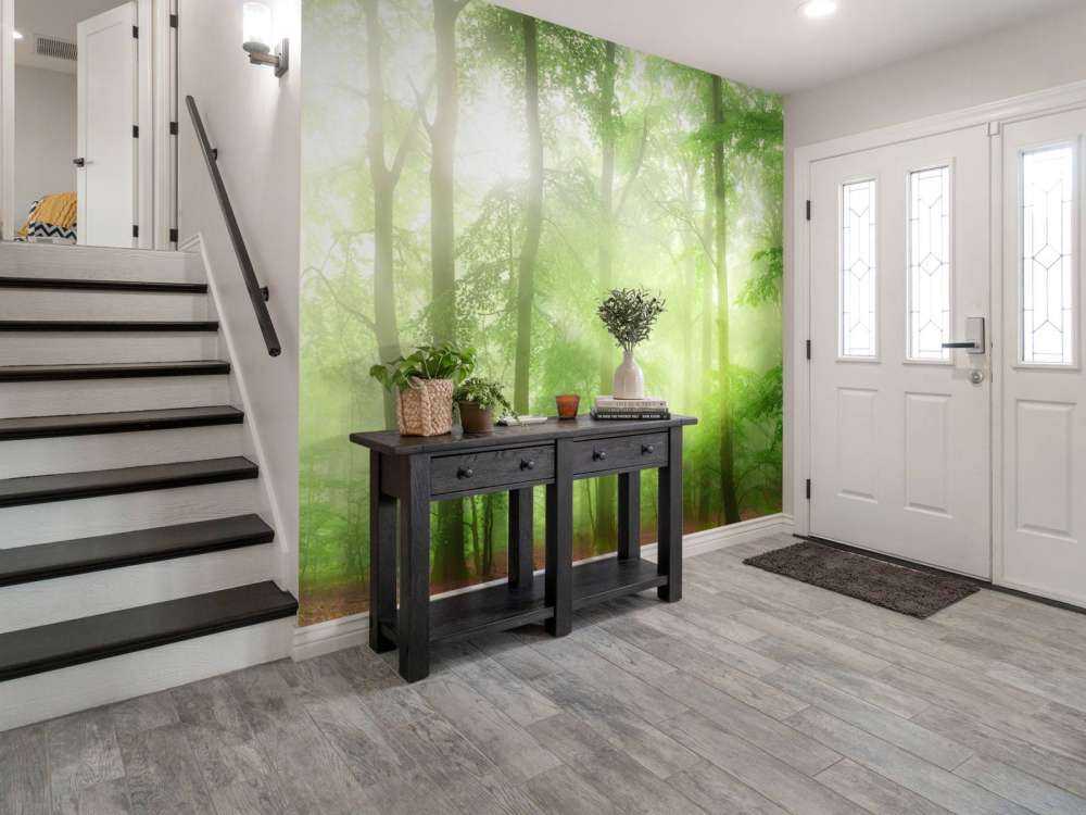 Zielona panorama leśna