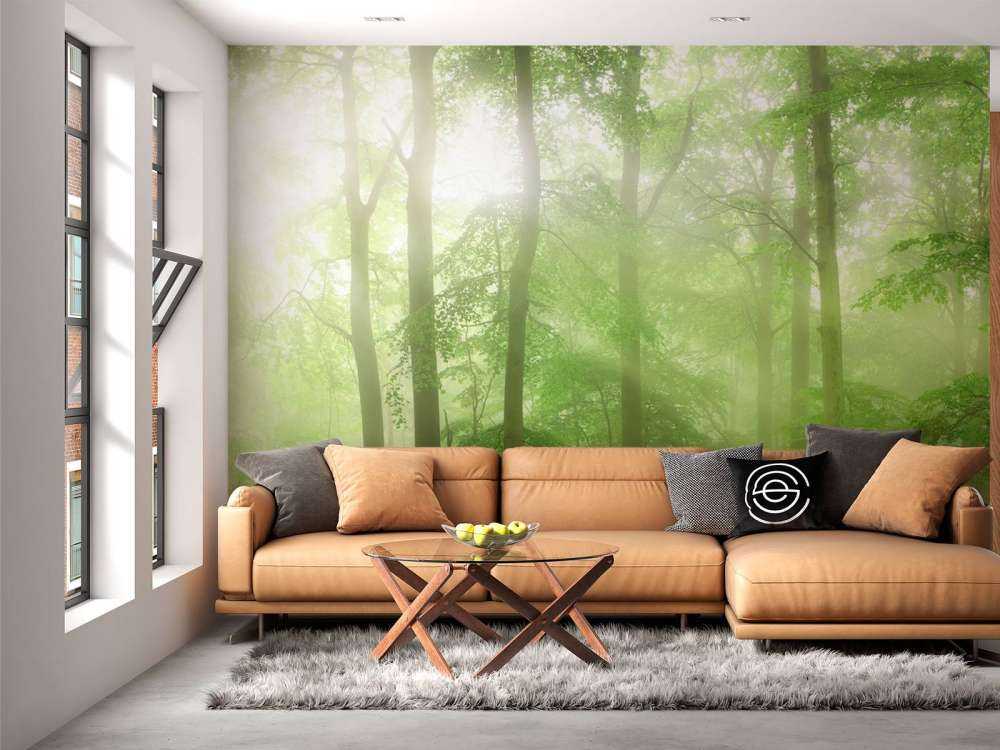 Zielona panorama leśna