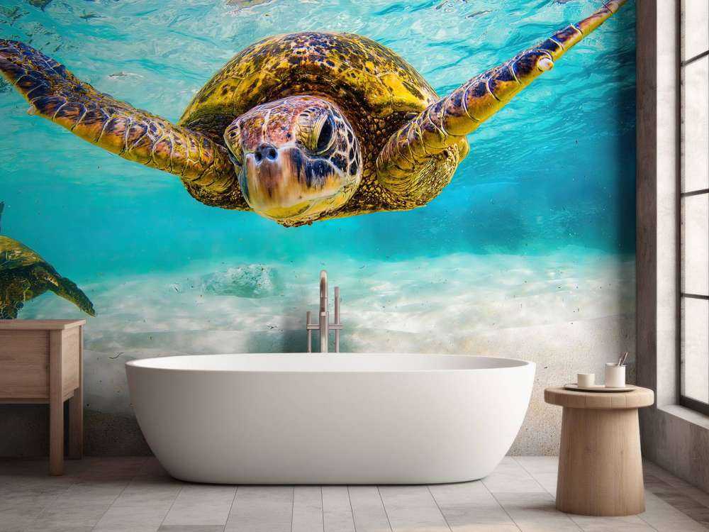 Żółw morski w oceanie