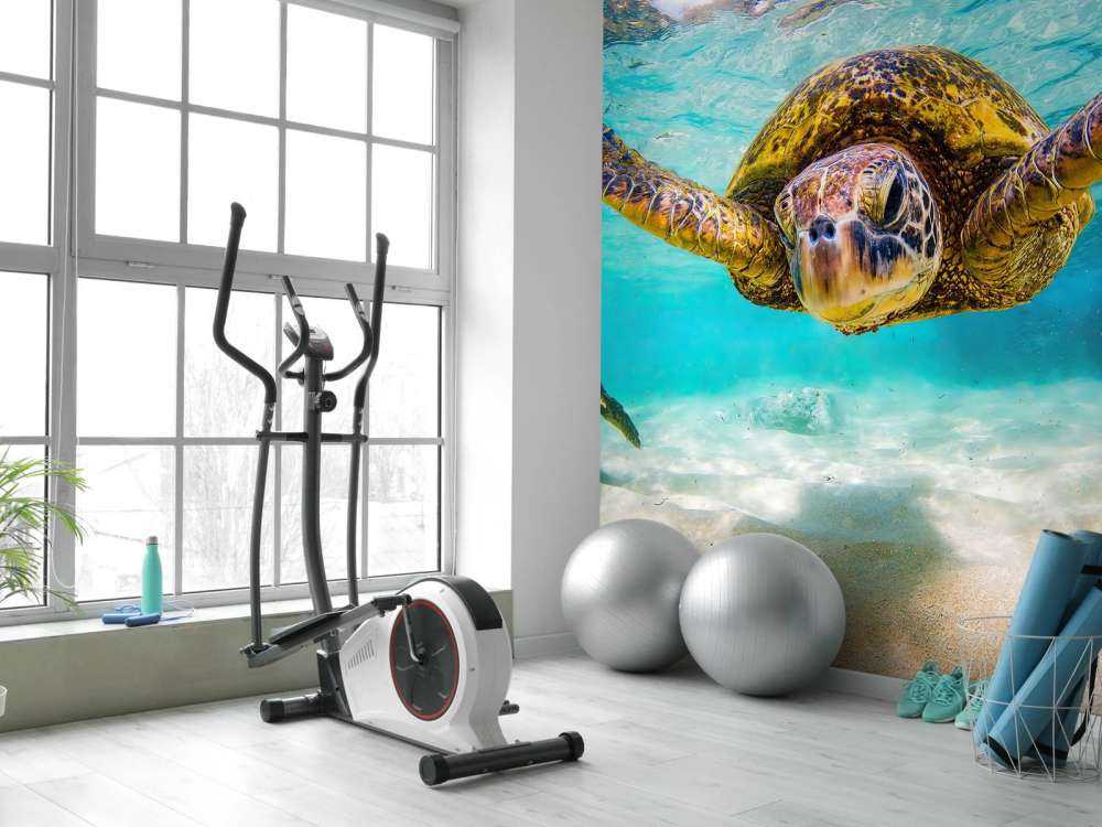 Żółw morski w oceanie