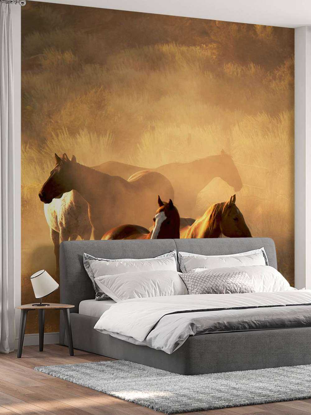 Konie podczas zachodu słońca