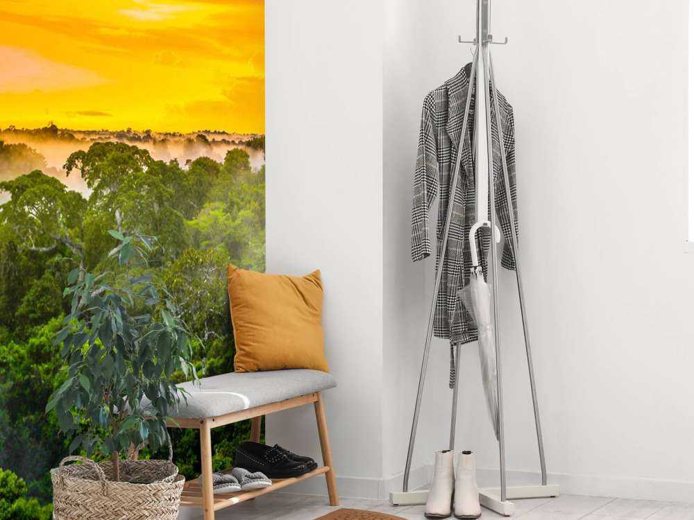 Las deszczowy w Brazylii