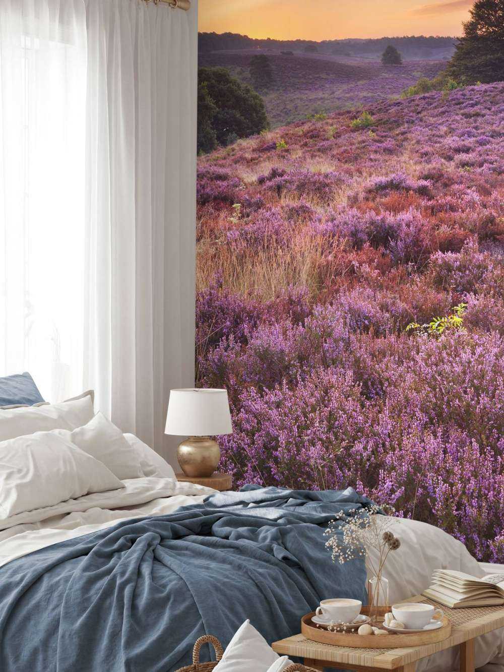 Zachód słońca w banku centralnym