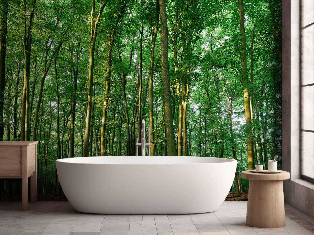 Zielony las ze światłem słonecznym