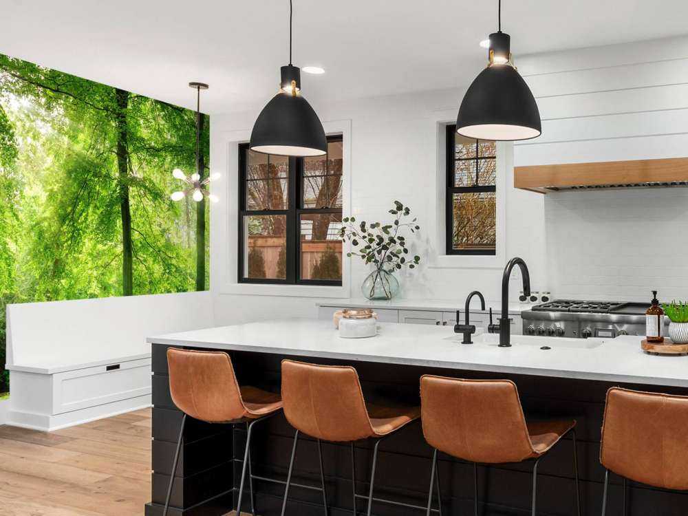 Las z lekką mgiełką