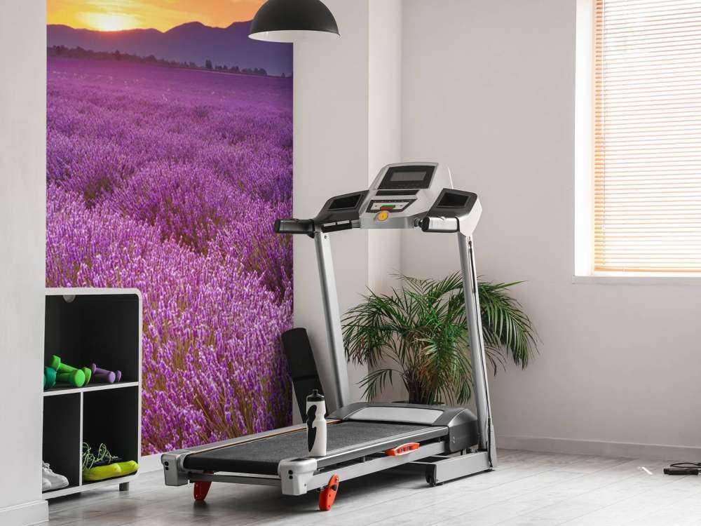 Pole pełne lawendy.