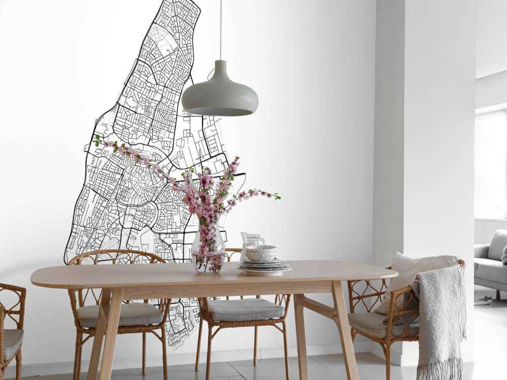 Mapa Haarlemu, biała