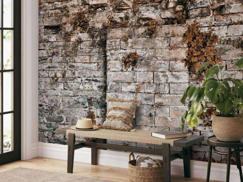 Ściana pokryta roślinnością jesienią