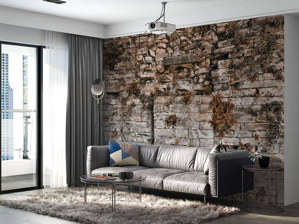 Ściana pokryta roślinnością jesienią