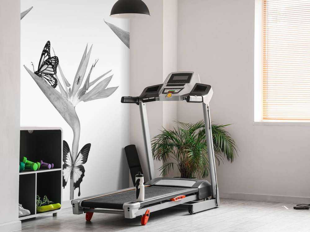 Motyle na rajskich kwiatach