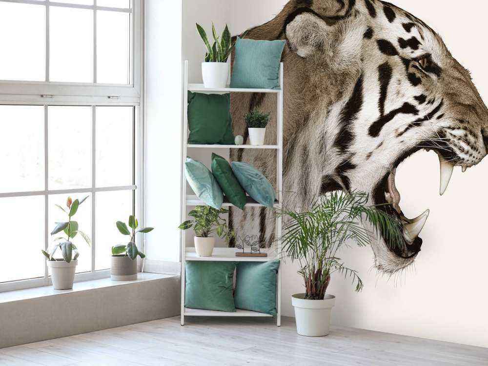 Ryczący tygrys offwhite