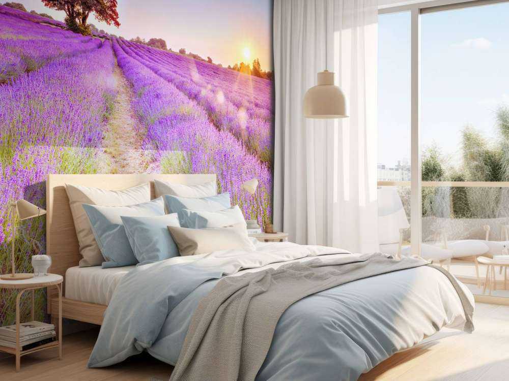 Lavender field at sunset