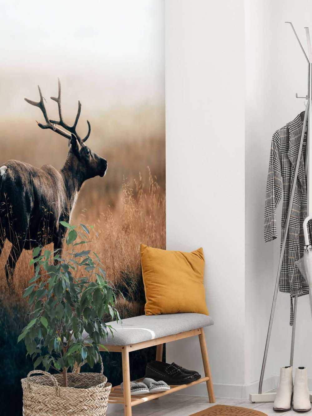 Renifer w wysokiej trawie