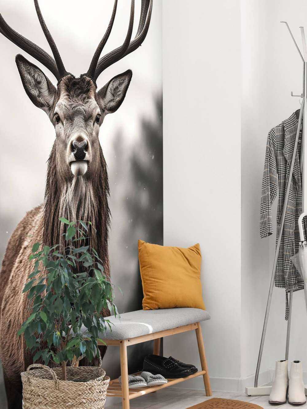 Spojrzenie zimowego króla jeleni