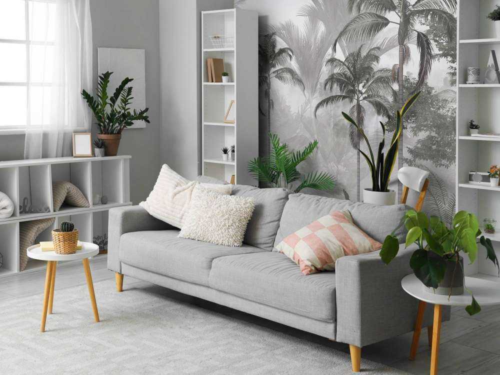 Żywa Zielona Dżungla