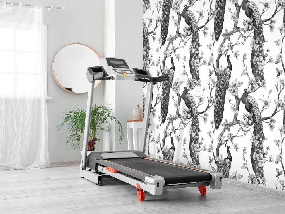 Monochromatyczna Wspaniałość Pawia