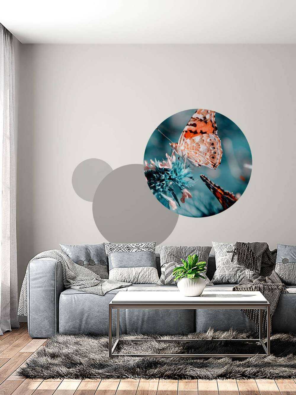 Motylki pomarańczowe