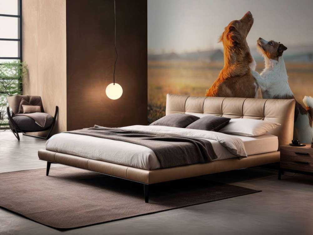 Psy patrzące w górę