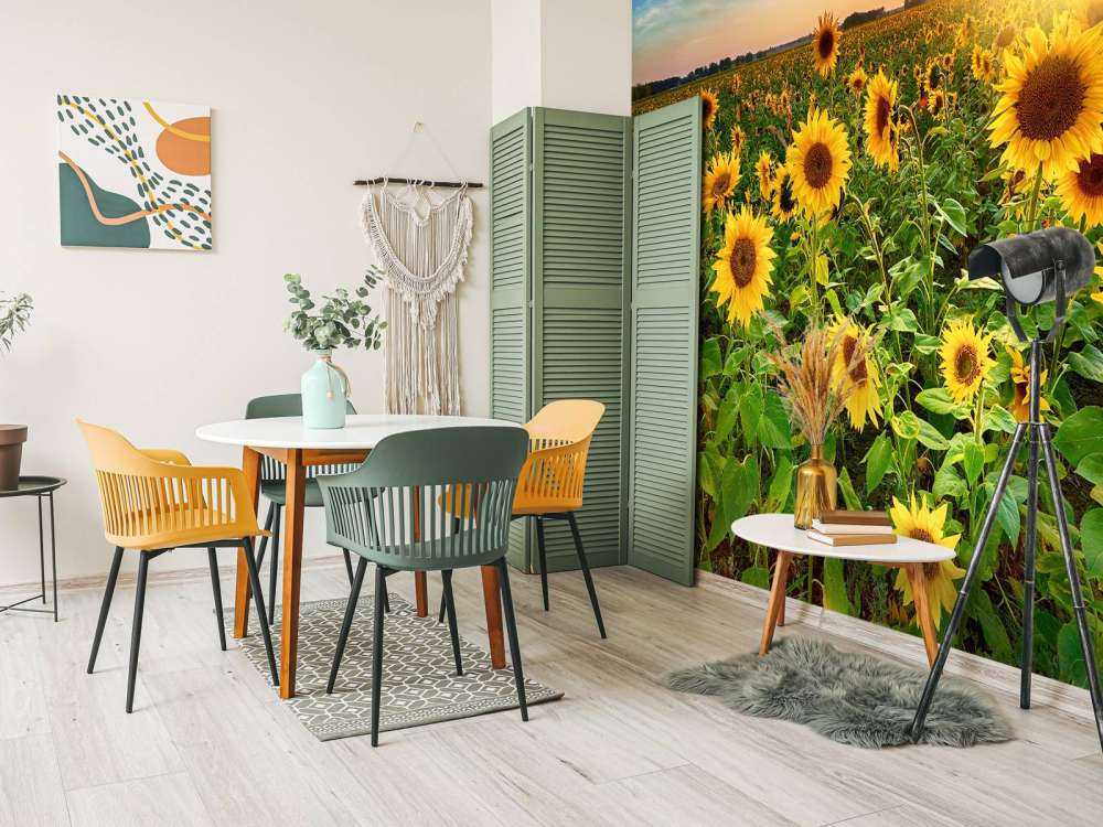 Piękne pole słoneczników