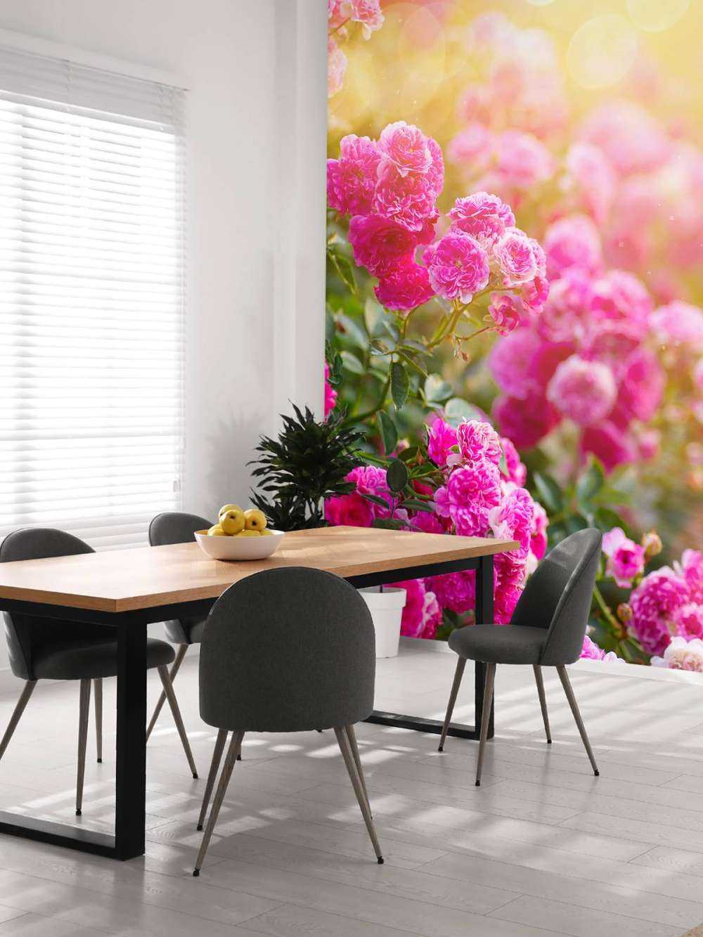 Różowe krzewy róży