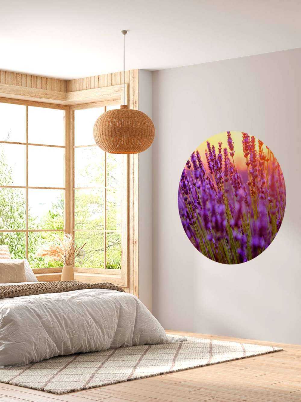 Lawenda w zbliżeniu