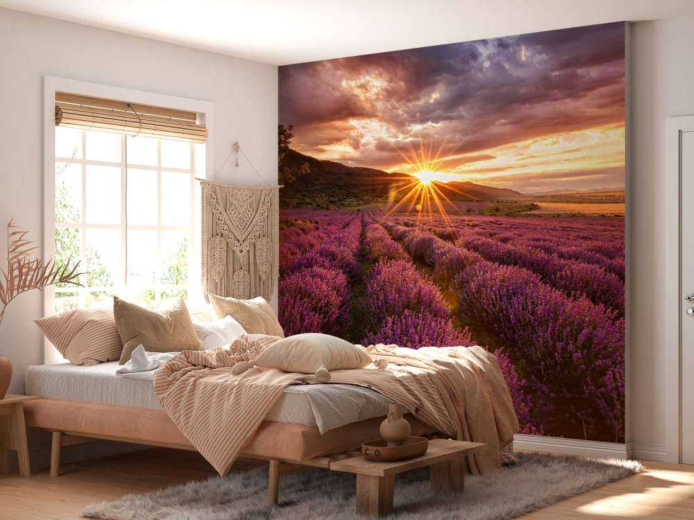 Lawenda pod słońcem